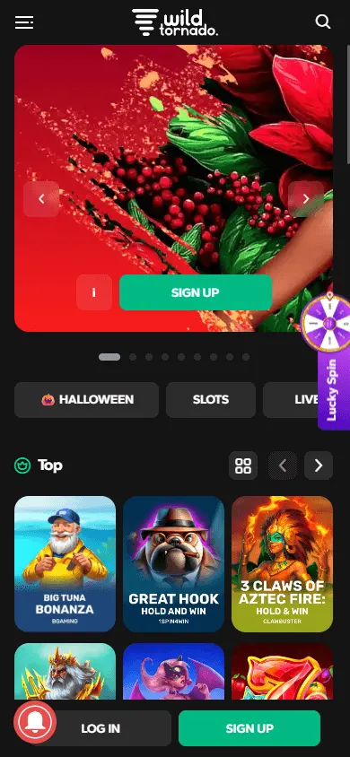 Wild Tornado Casino mobile home view